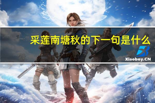 采莲南塘秋的下一句是什么