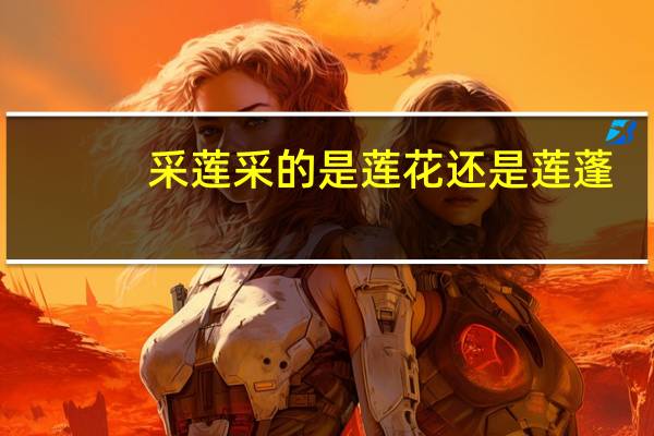 采莲采的是莲花还是莲蓬