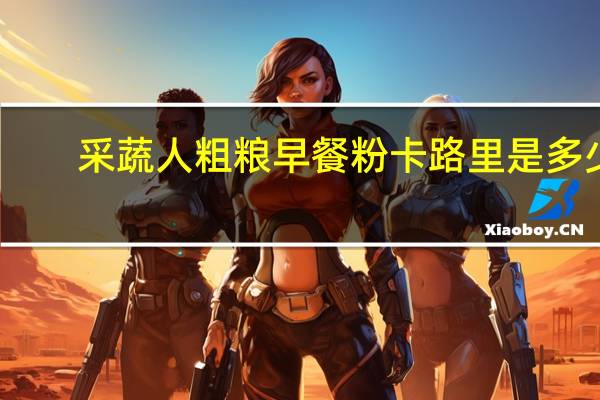 采蔬人 粗粮早餐粉卡路里是多少