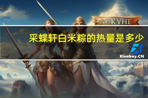 采蝶轩 白米粽的热量是多少