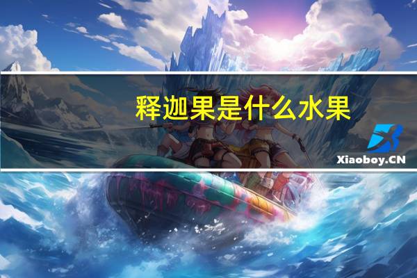 释迦果是什么水果