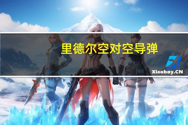 里德尔空对空导弹(击中习语)