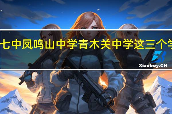 重庆七中 凤鸣山中学 青木关中学这三个学校怎么样,重点班哪个学校好,