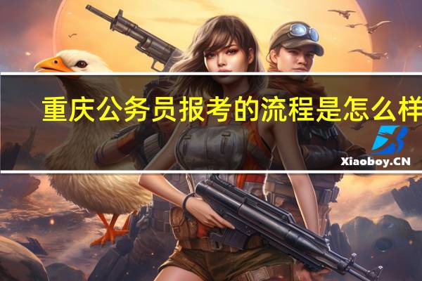 重庆公务员报考的流程是怎么样的