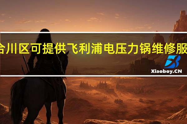 重庆合川区可提供飞利浦电压力锅维修服务地址在哪