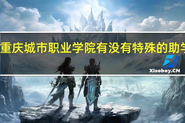 重庆城市职业学院有没有特殊的助学计划