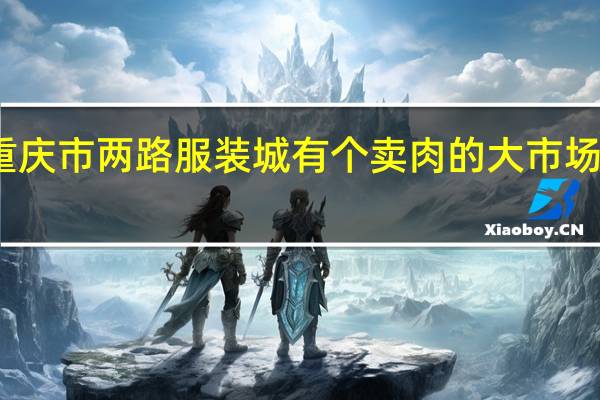重庆市两路服装城有个卖肉的大市场在哪里