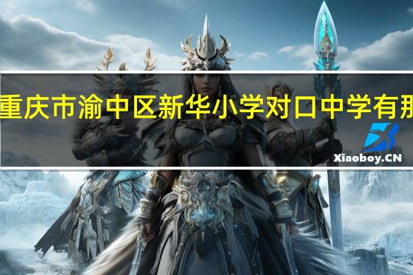 重庆市渝中区新华小学对口中学有那些30