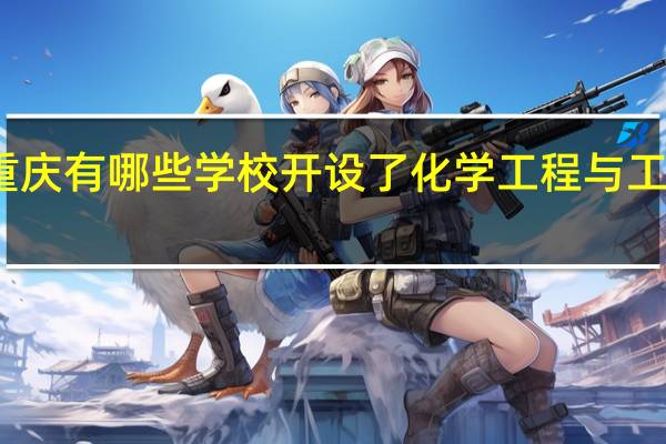 重庆有哪些学校开设了化学工程与工艺专业