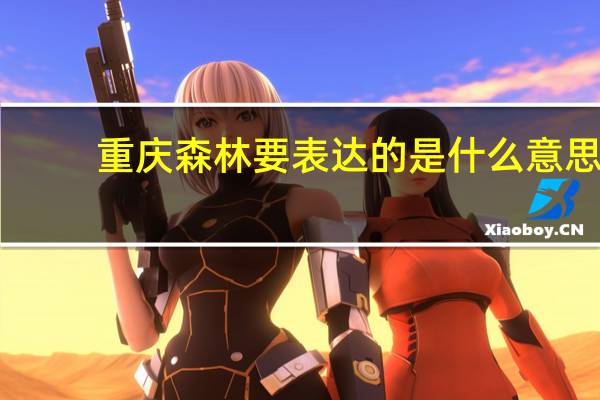 重庆森林要表达的是什么意思