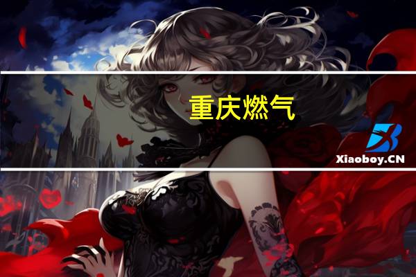 重庆燃气：董事长王颂秋退休离任