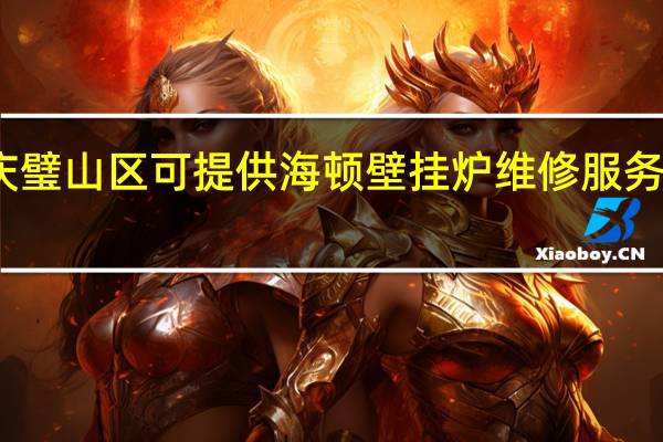 重庆璧山区可提供海顿壁挂炉维修服务地址在哪