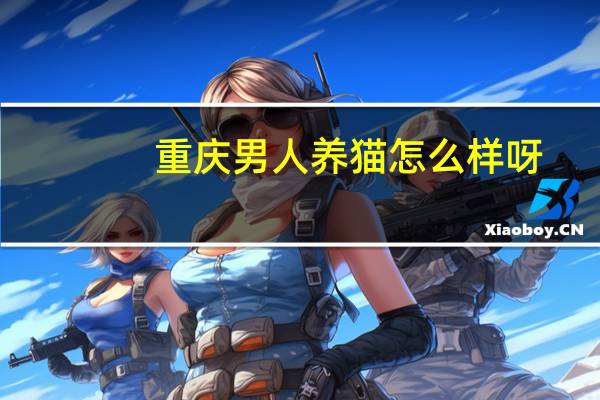重庆男人养猫怎么样呀