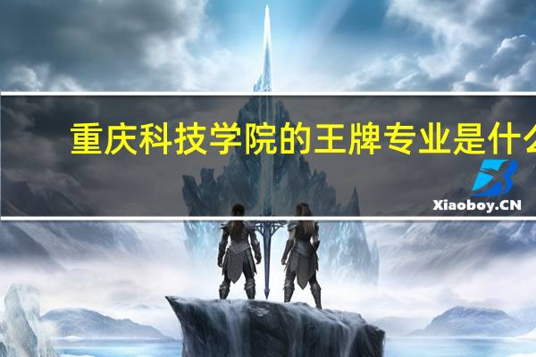 重庆科技学院的王牌专业是什么