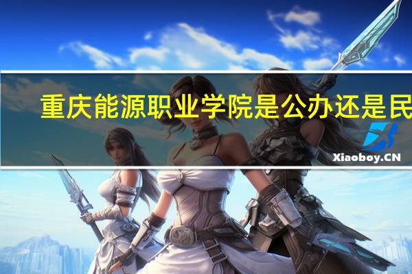 重庆能源职业学院是公办还是民办