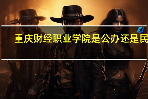 重庆财经职业学院是公办还是民办