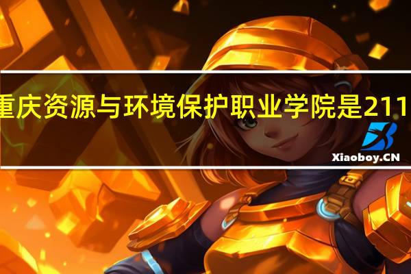 重庆资源与环境保护职业学院是211大学吗