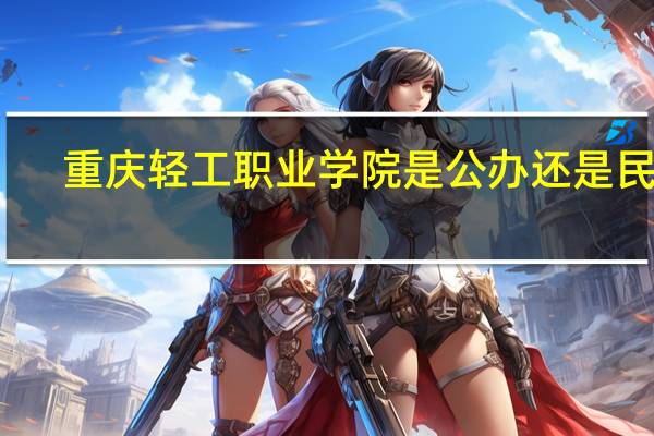 重庆轻工职业学院是公办还是民办