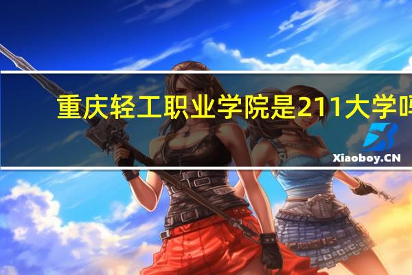 重庆轻工职业学院是211大学吗