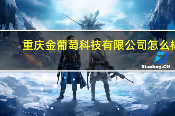 重庆金葡萄科技有限公司怎么样