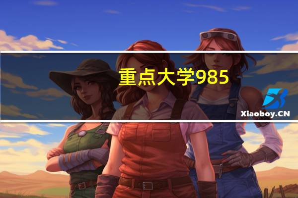 重点大学 985