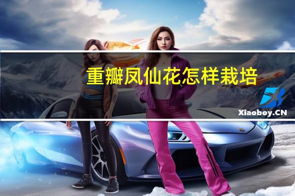 重瓣凤仙花怎样栽培：生长期间应见干见湿