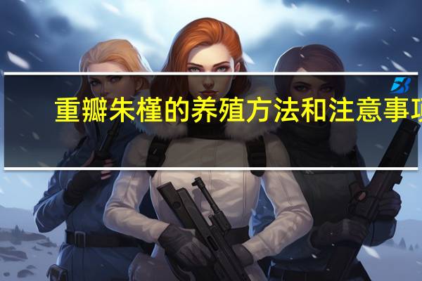 重瓣朱槿的养殖方法和注意事项