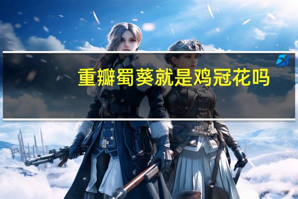 重瓣蜀葵就是鸡冠花吗
