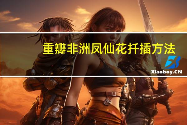 重瓣非洲凤仙花扦插方法