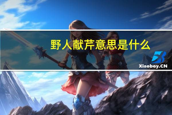 野人献芹意思是什么