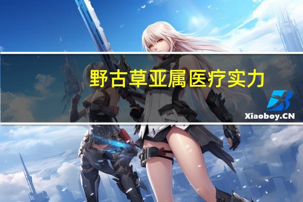 野古草亚属医疗实力
