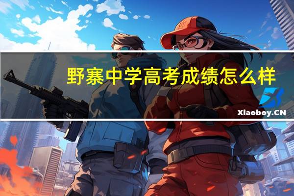 野寨中学高考成绩怎么样