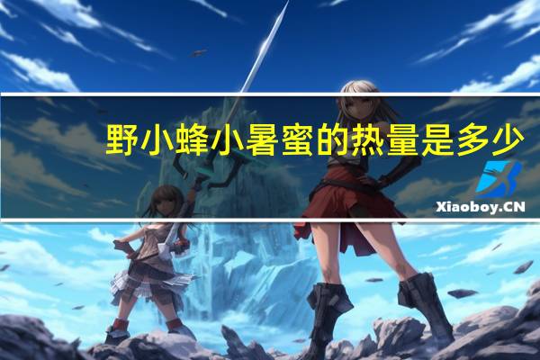 野小蜂 小暑蜜的热量是多少