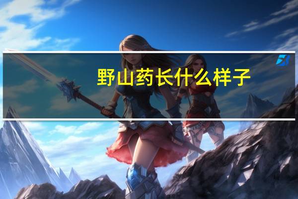 野山药长什么样子