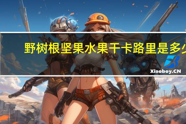 野树根 坚果水果干卡路里是多少