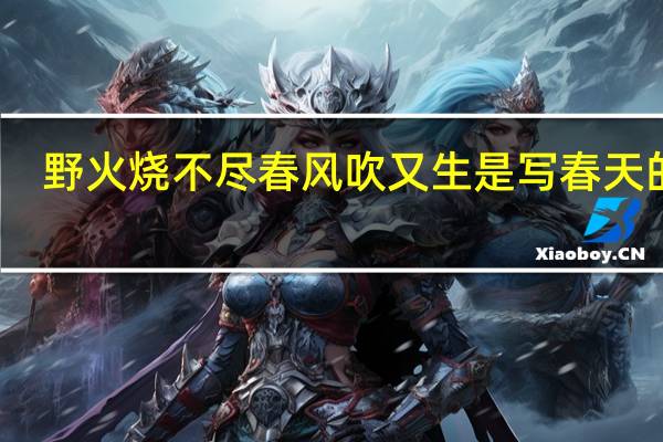 野火烧不尽春风吹又生是写春天的吗(野火烧不尽 春风吹又生)