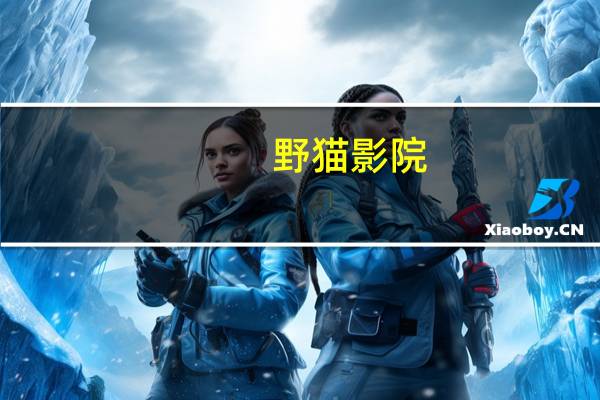 野猫影院