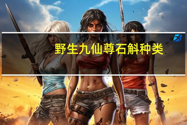 野生九仙尊石斛种类