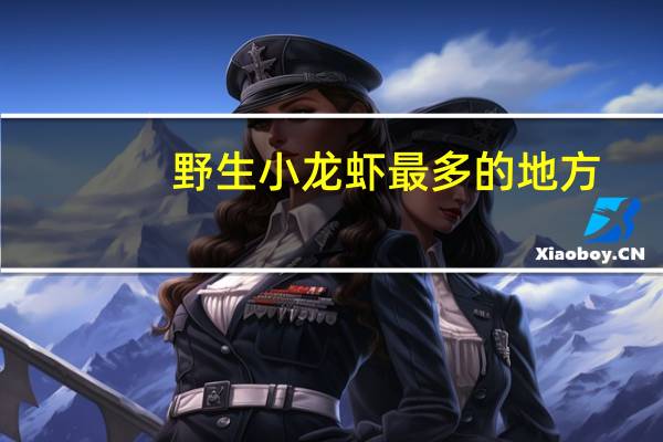 野生小龙虾最多的地方