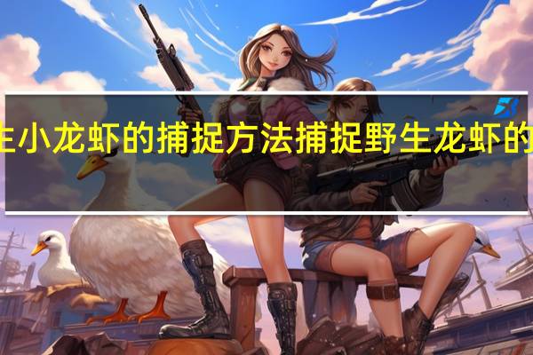 野生小龙虾的捕捉方法捕捉野生龙虾的实用技巧