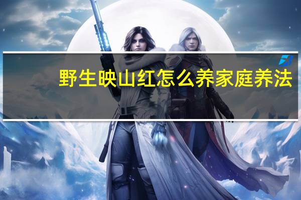 野生映山红怎么养家庭养法
