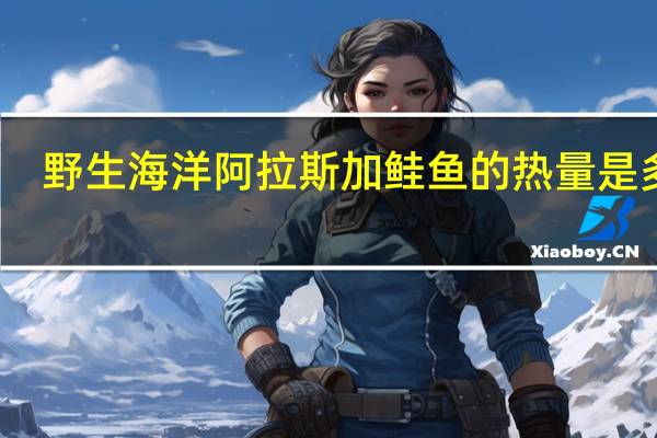 野生海洋 阿拉斯加鲑鱼的热量是多少