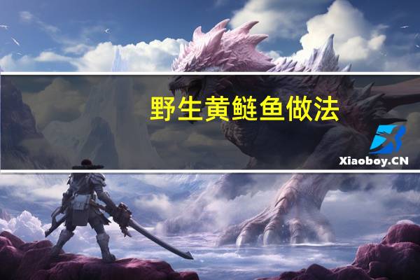 野生黄鲢鱼做法