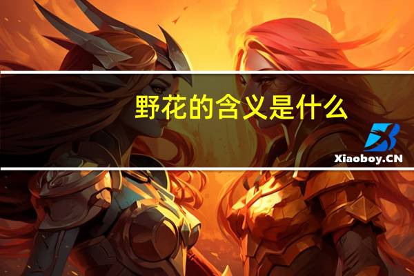 野花的含义是什么