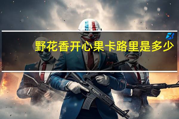 野花香 开心果卡路里是多少