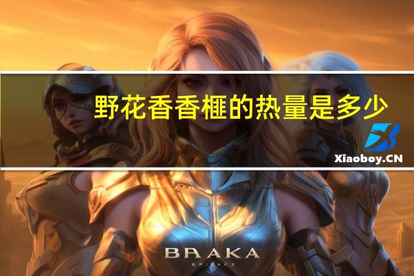 野花香 香榧的热量是多少