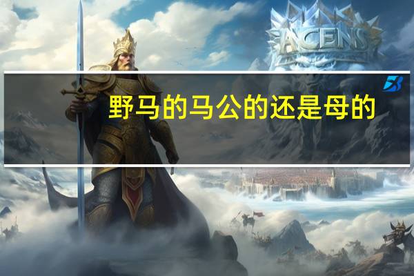 野马的马公的还是母的