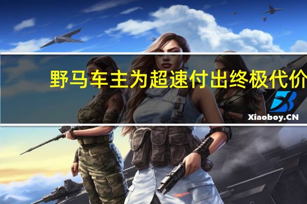 野马车主为超速付出终极代价