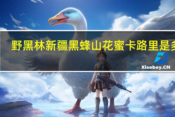 野黑林 新疆黑蜂山花蜜卡路里是多少