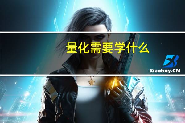 量化 需要学什么